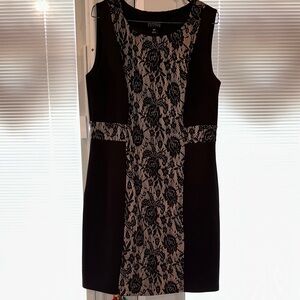 Enfocus Studio Black and White Lace Mini Dress